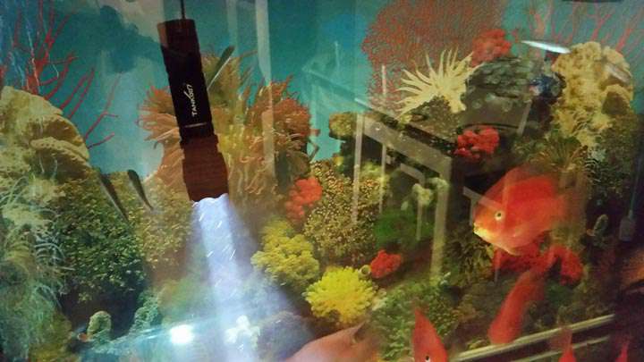 手電PT10，為戰(zhàn)術而生